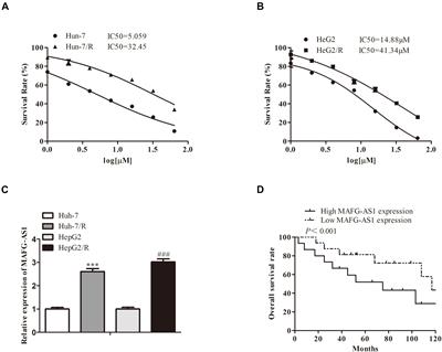 Long Non-coding RNA MAFG-AS1 Promotes Cell Proliferation, Migration, and EMT by miR-3196/STRN4 in Drug-Resistant Cells of Liver Cancer